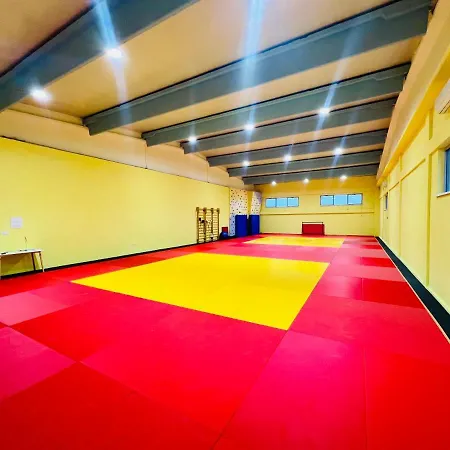 Casa de hóspedes Borsa *