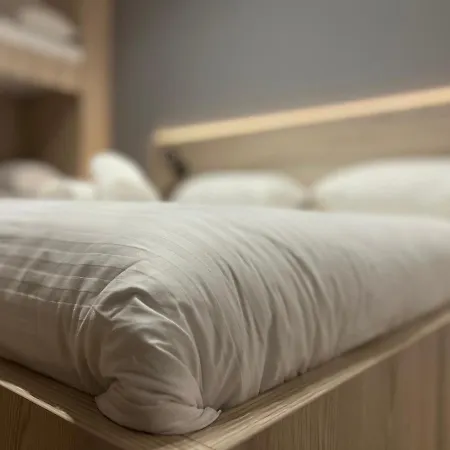 Guest house Borsa